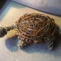 Schildpad wilgentenen